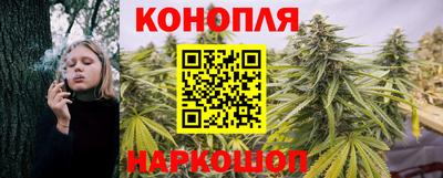 круглые Камышлов