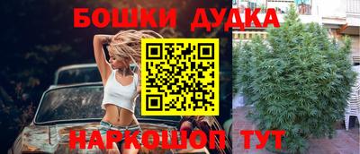 круглые Камышлов