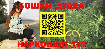 ПСИЛОЦИБИНОВЫЕ ГРИБЫ Кандалакша