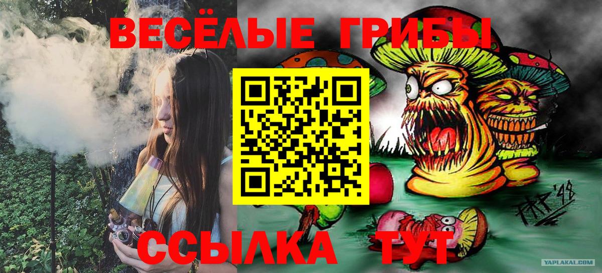 Псилоцибиновые грибы Cubensis Старая Русса