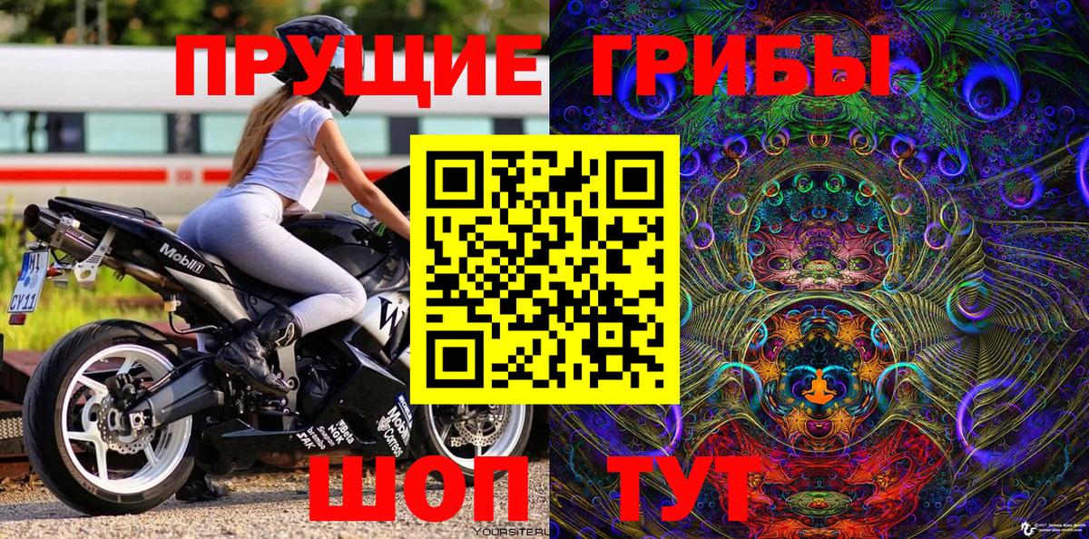 Псилоцибиновые грибы прущие грибы  Вход с VPN  Старая Русса 