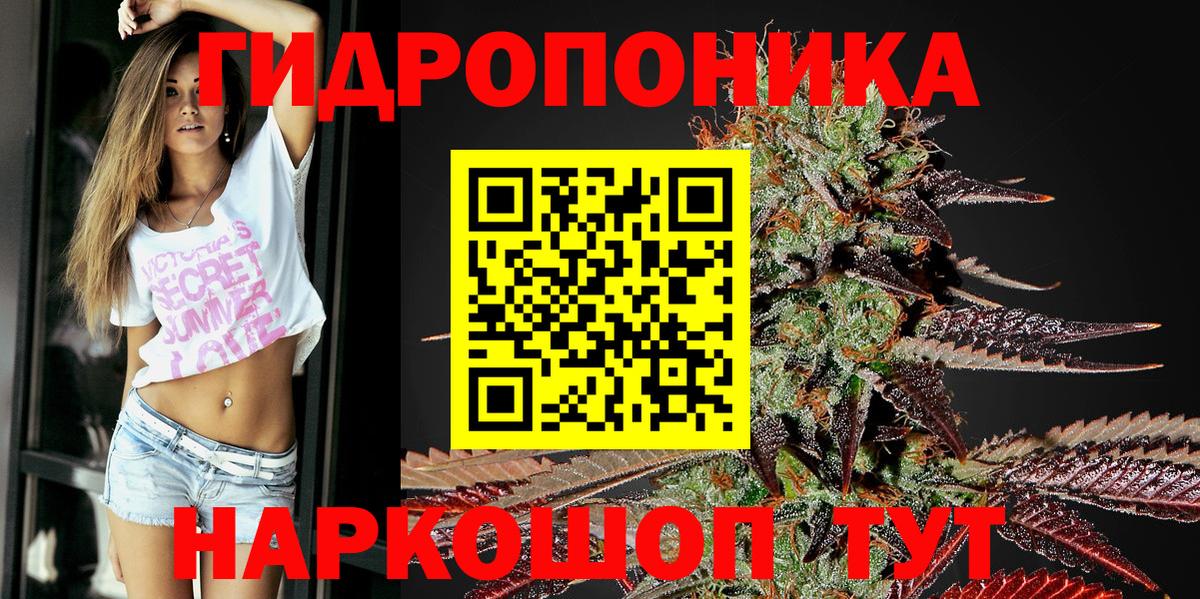 Каннабис планчик Старая Русса